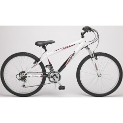 Freespirit Loaded 20 Inch Junior Bike